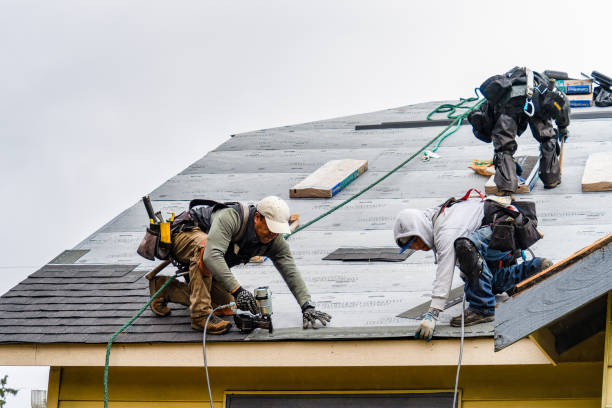 Professional Gutter Installation technician working in Harrisonville, MO